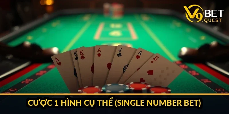 So sánh house edge các loại cược bầu cua V9bet