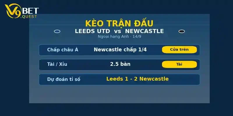 Kèo trận đấu Leeds vs Newcastle