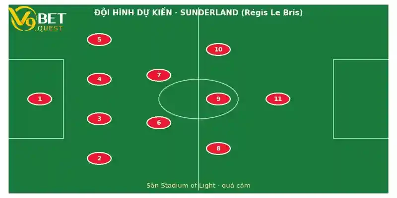 Soi kèo Sunderland vs Brighton 3 Đội hình dự kiến Sunderland vs Brighton